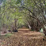 בית נופש Terre Et *